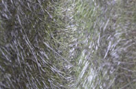 Morborne fibreglass roof work